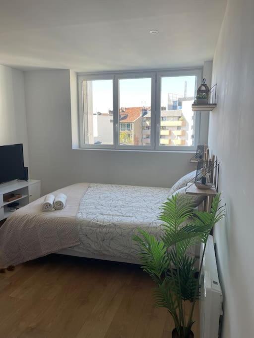 Studio Cosy Rue Alexander Taylor, Wifi, 2 Pers Pau Ngoại thất bức ảnh
