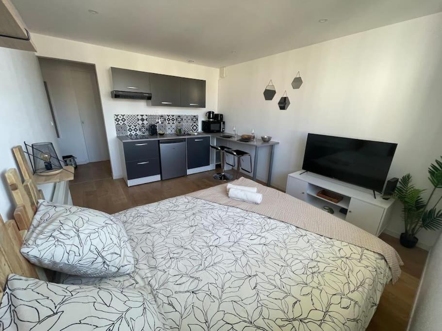 Studio Cosy Rue Alexander Taylor, Wifi, 2 Pers Pau Ngoại thất bức ảnh